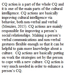 Cultural intelligence